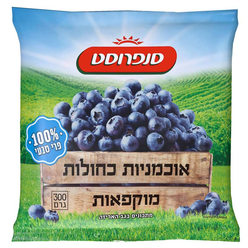 אוכמניות כחולות סנפרוסט 300 גרם ב.יוסף
