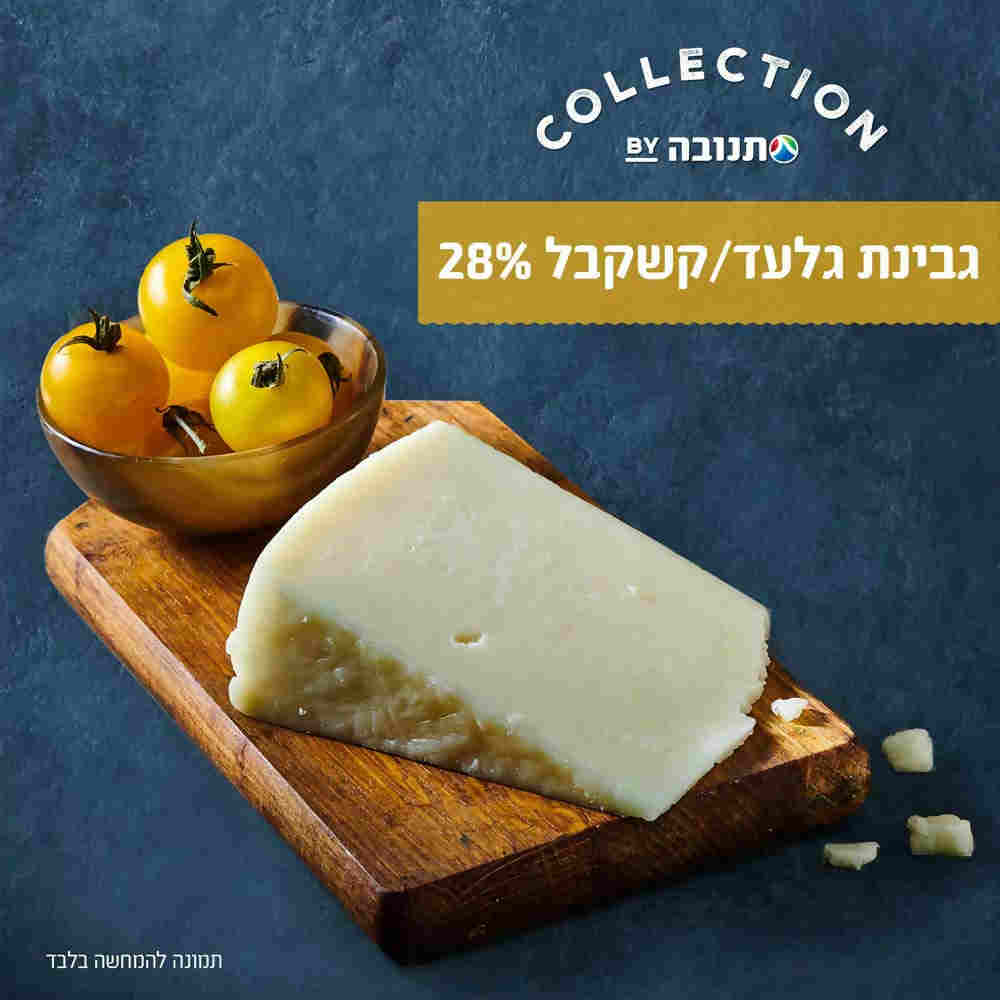 קשקבל גלעד קולקשן 28% שומן במשקל