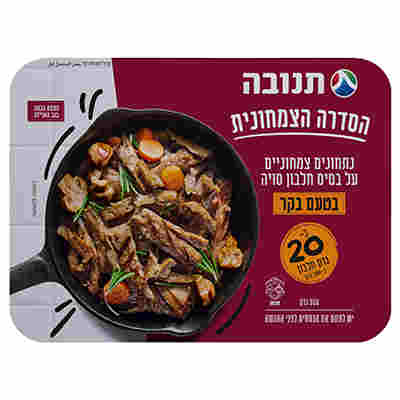 נתחוני סויה בטעם בקר 350 גרם