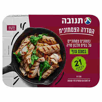 נתחוני סויה בטעם עוף 350 גרם