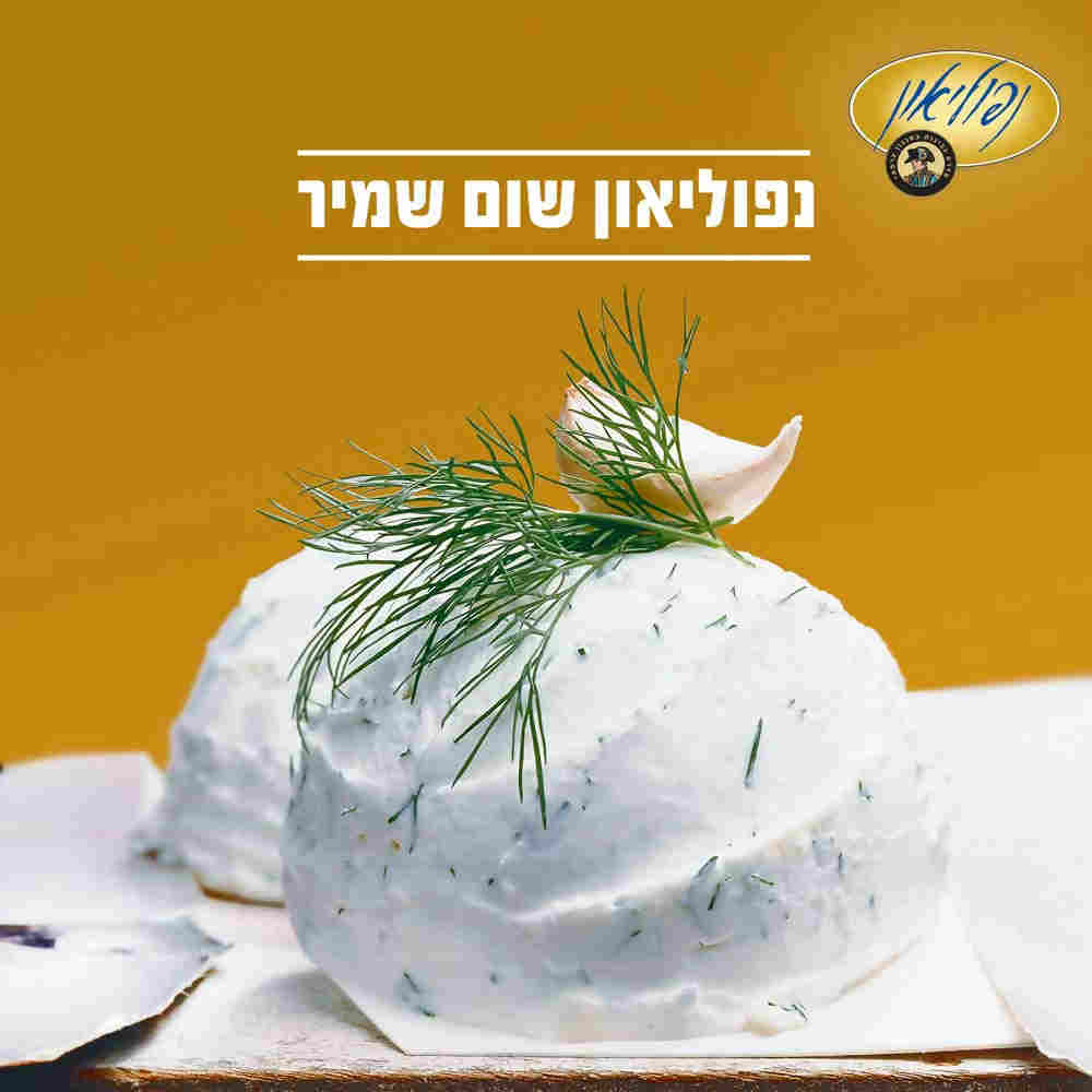 גבינת שמנת נפוליאון שום שמיר 25% 800 ג'