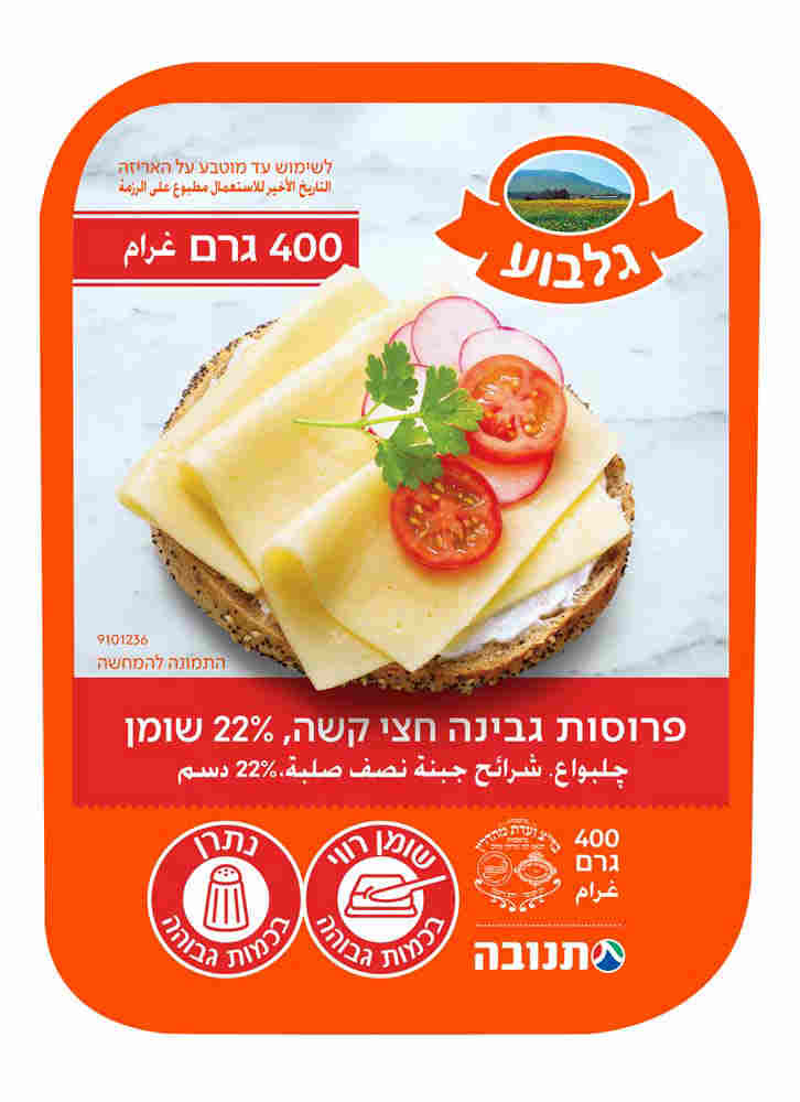 גבינה צהובה גלבוע 22% שומן 400 גרם