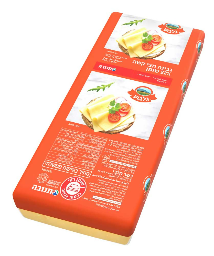 גבינה צהובה גלבוע 22% שומן במשקל