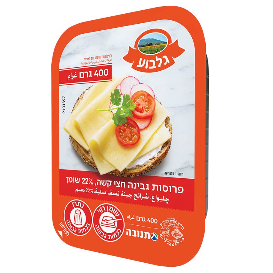גבינה צהובה גלבוע 22% שומן 400 גרם