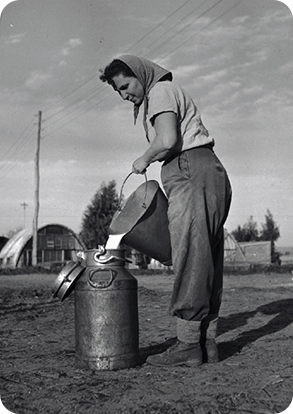 אישה מוזגת חלב לכלי קיבול